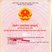 Vị trí 